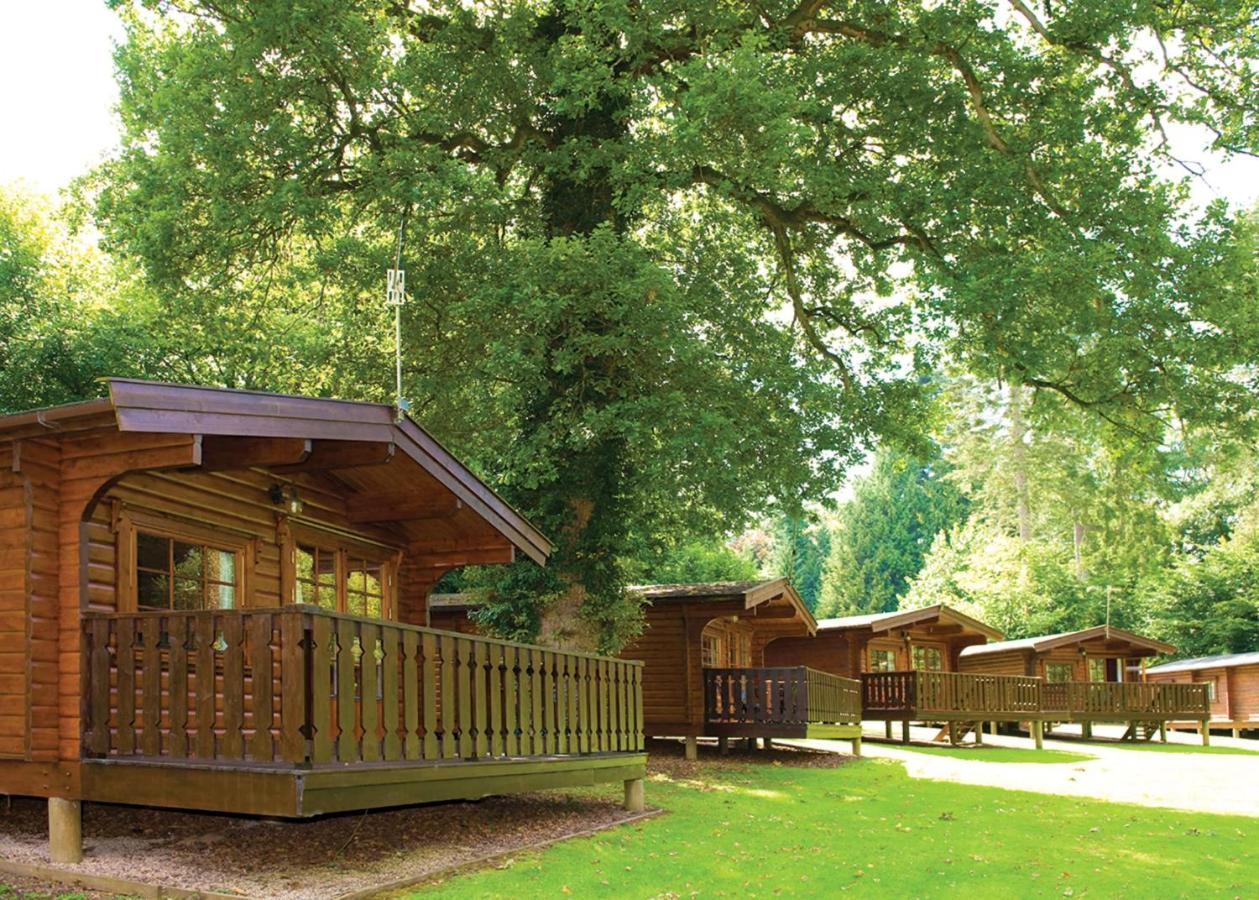 Whitemead Forest Park Hotel Parkend Exterior foto